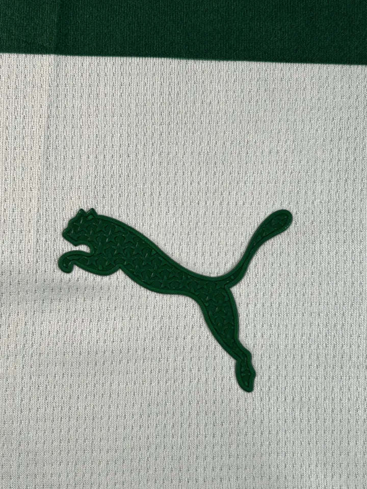 Camisa Palmeiras Listrada Sócio 25/26