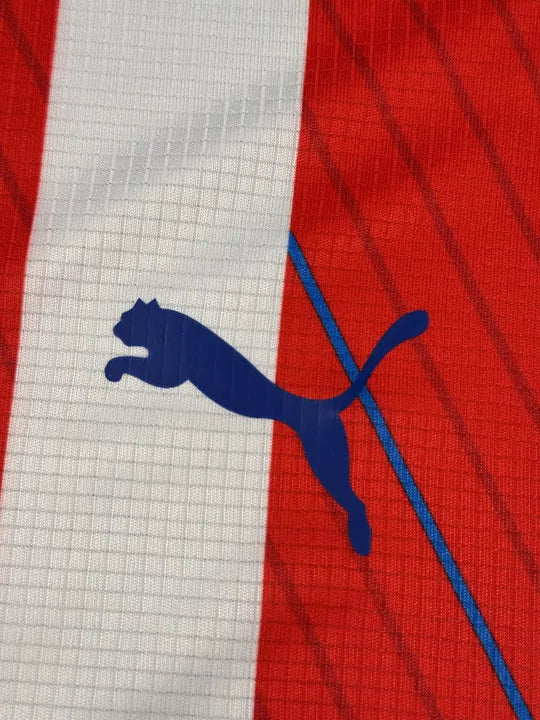 Camisa Seleção Paraguai Listrada I 25/26