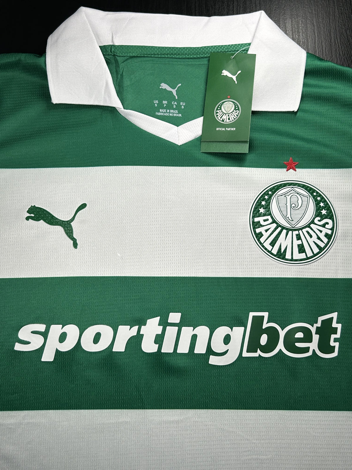 Camisa Palmeiras Listrada 25/26