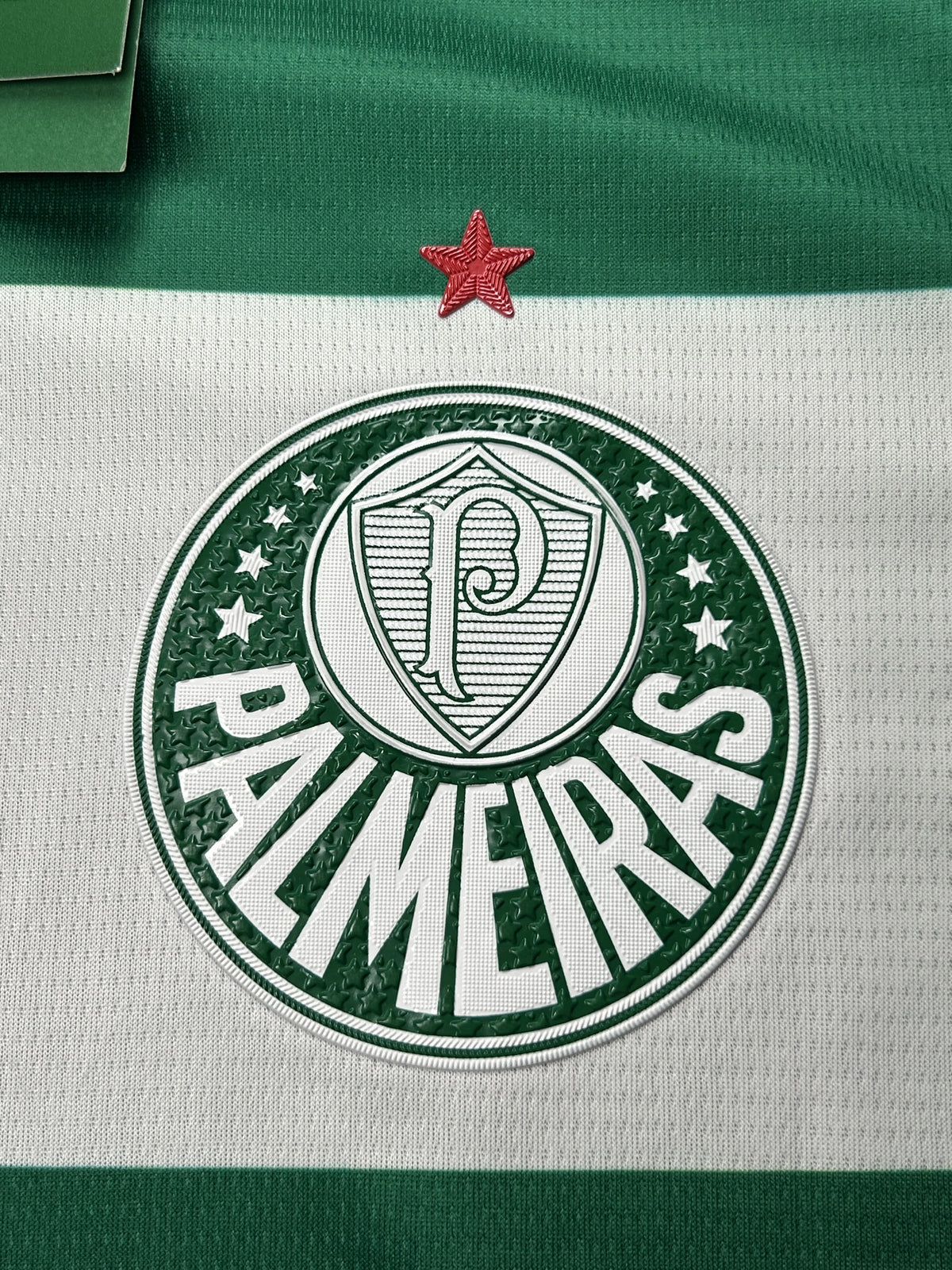 Camisa Palmeiras Listrada 25/26