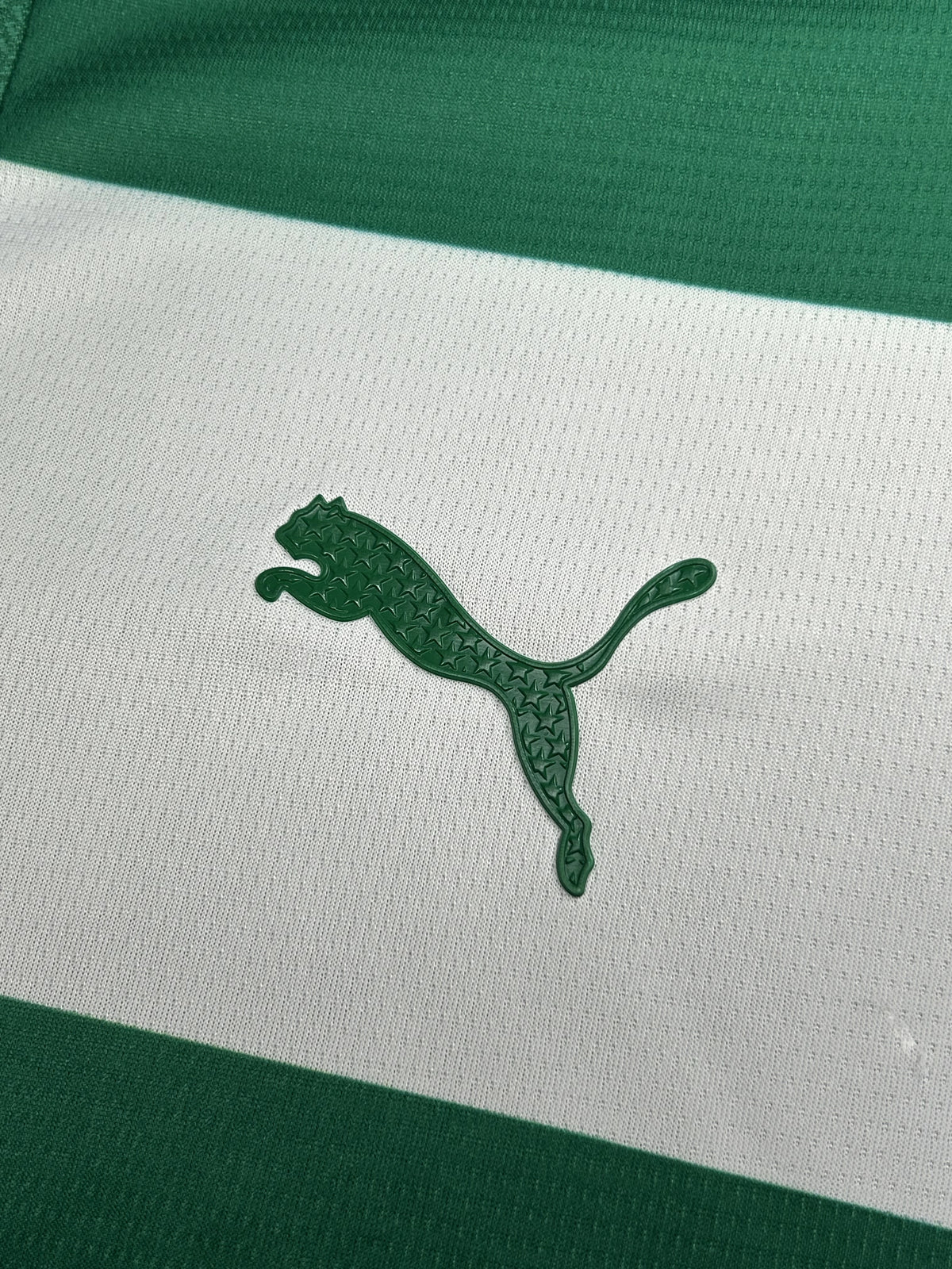 Camisa Palmeiras Listrada 25/26