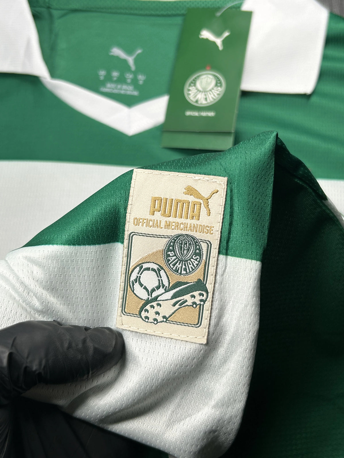 Camisa Palmeiras Listrada 25/26