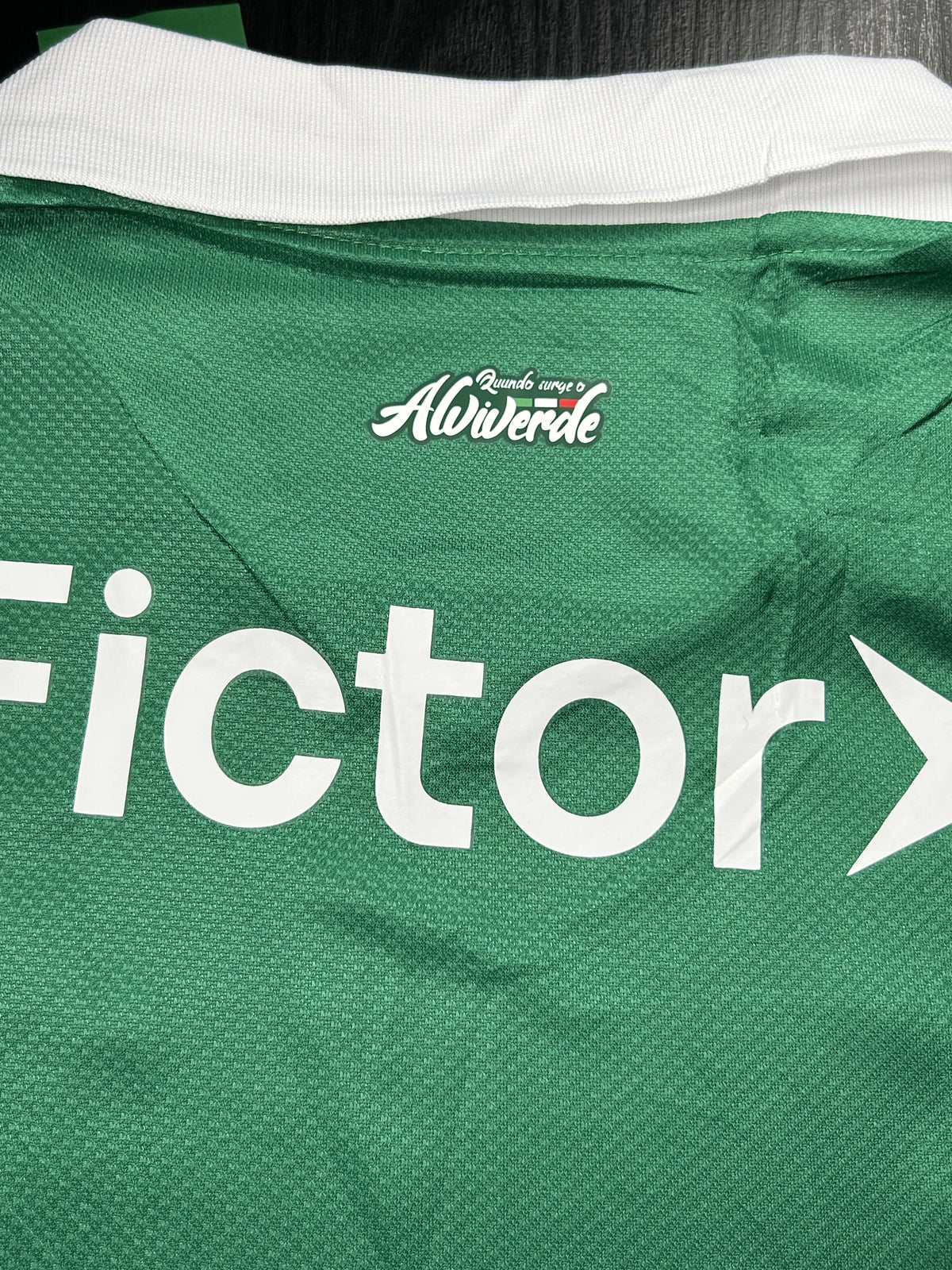 Camisa Palmeiras Listrada 25/26