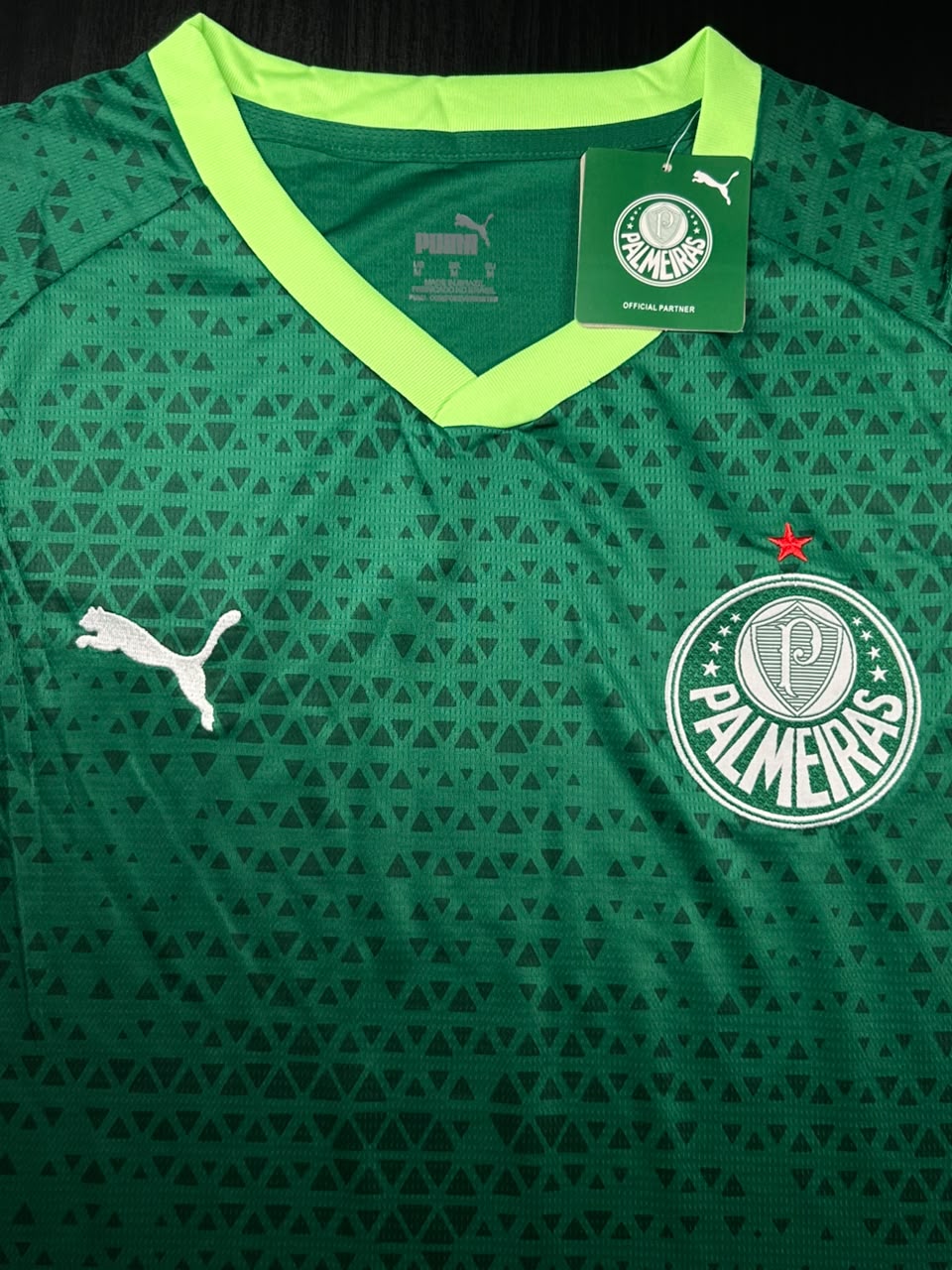 Kit Regata e Short Palmeiras Verde