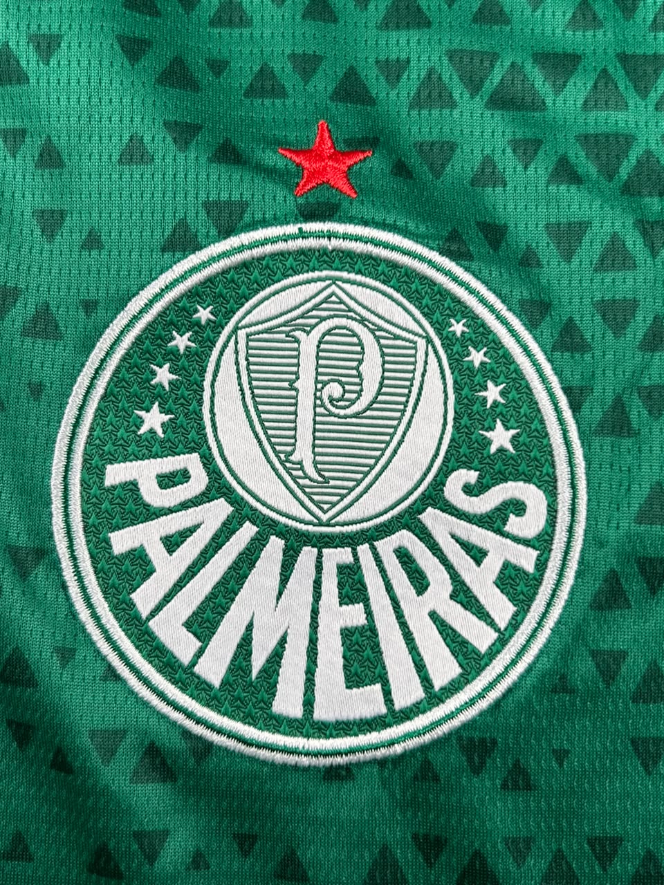 Kit Regata e Short Palmeiras Verde