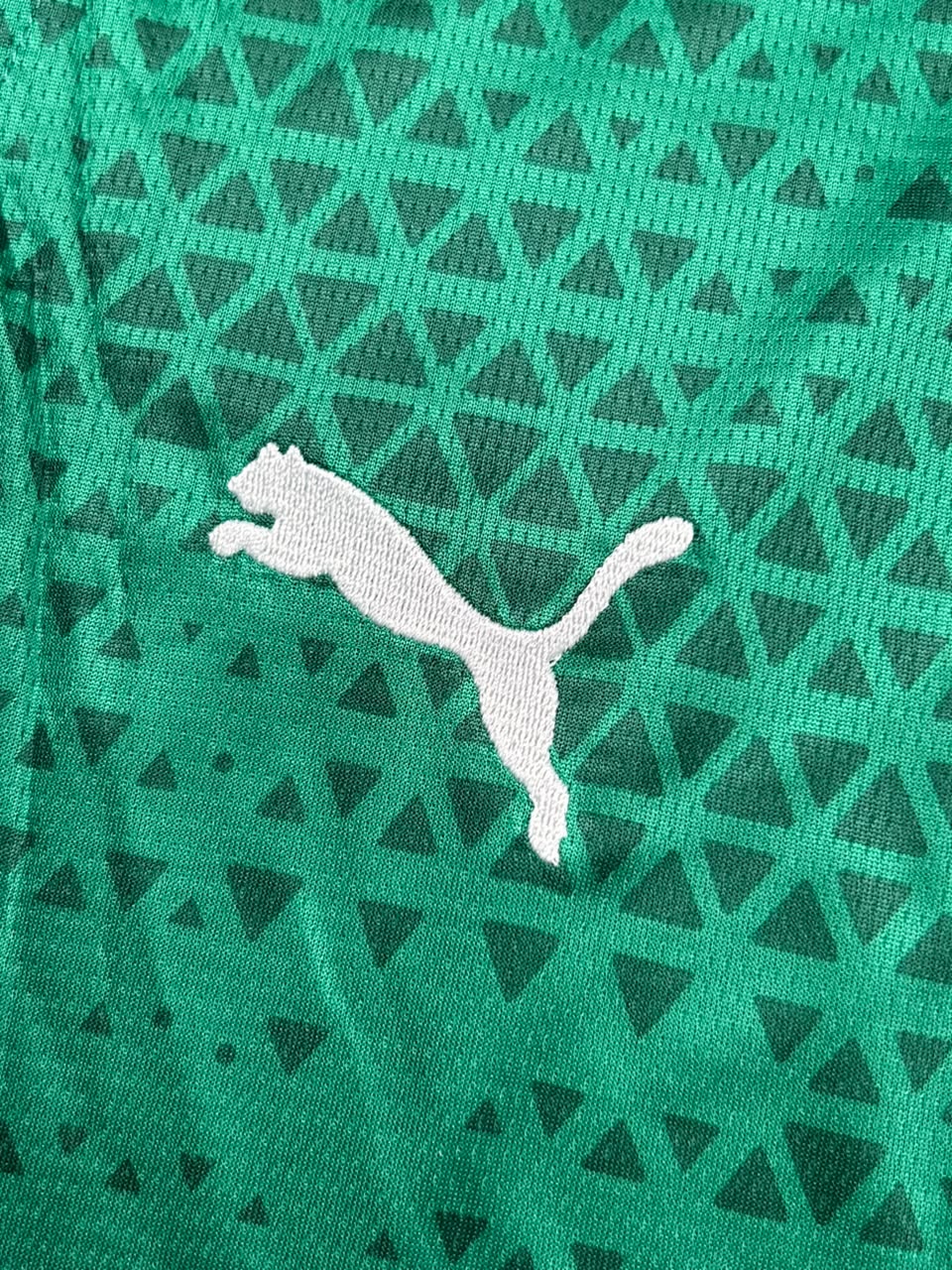 Kit Regata e Short Palmeiras Verde