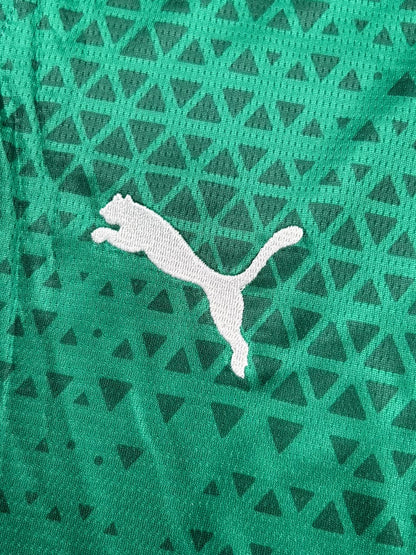 Kit Regata e Short Palmeiras Verde