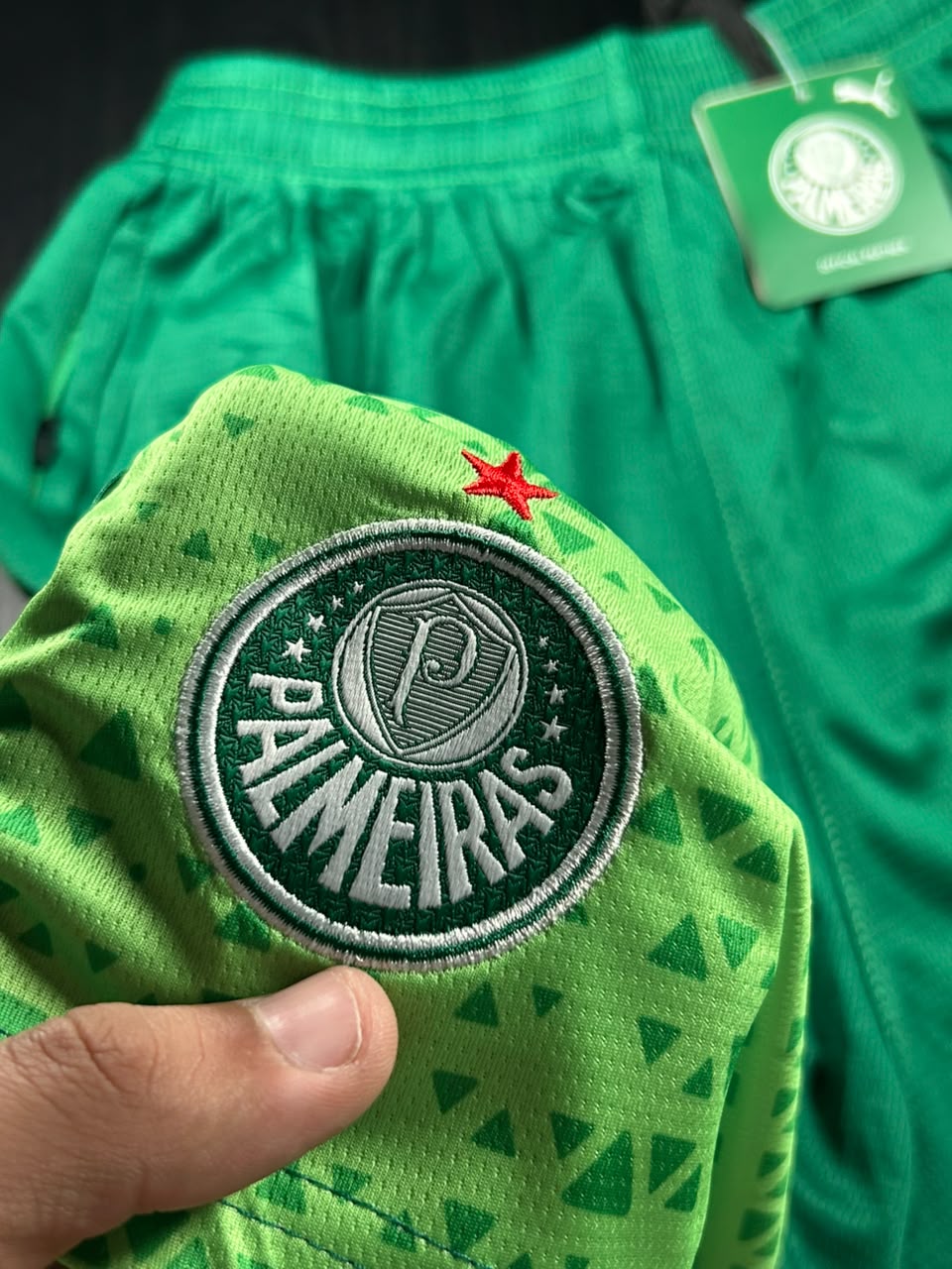 Kit Regata e Short Palmeiras Verde