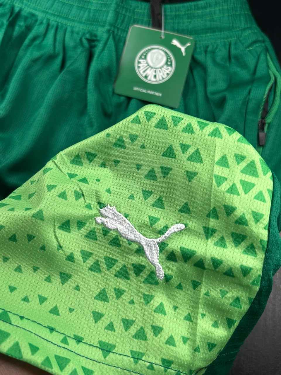 Kit Regata e Short Palmeiras Verde