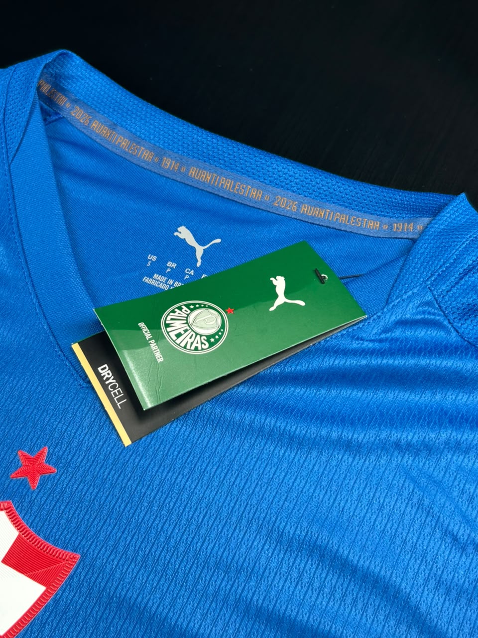 Camisa Jogador Palmeiras Azul III 26/27