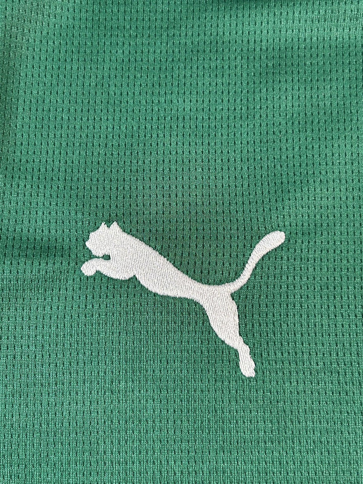 Camisa Palmeiras Verde I 26/27
