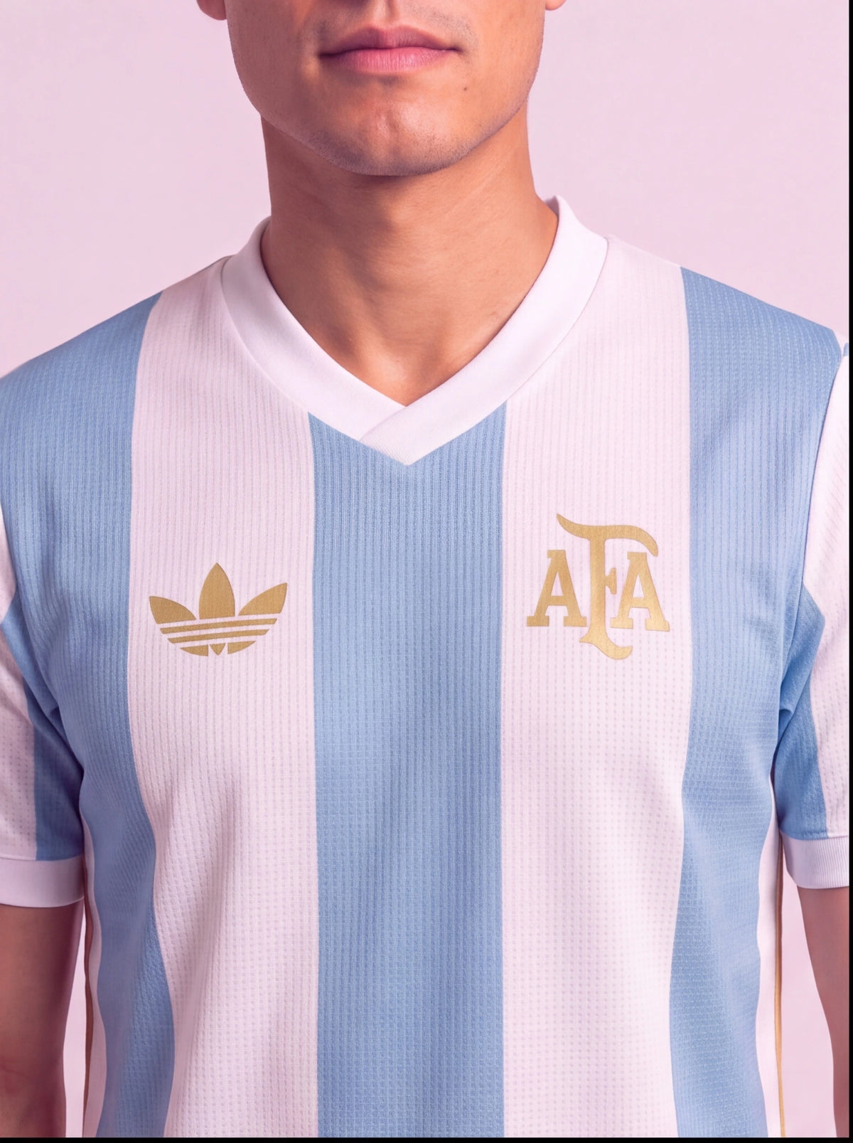 Camisa Argentina Anniversary