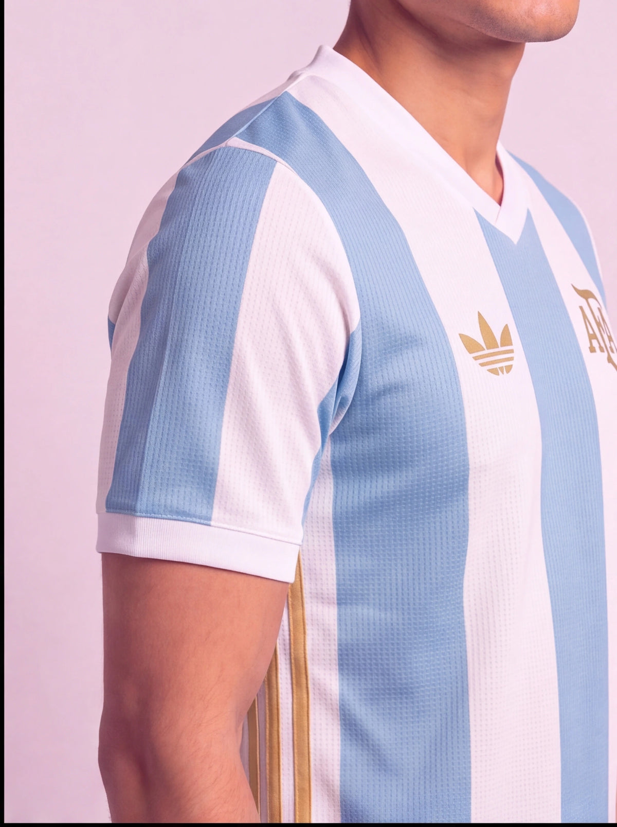 Camisa Argentina Anniversary