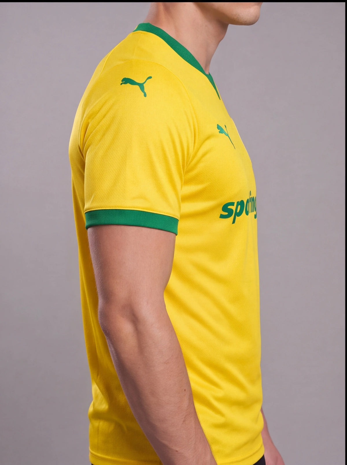 Camisa Palmeiras Amarela III 2025/26